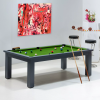 Billards - table et tapis vert pool