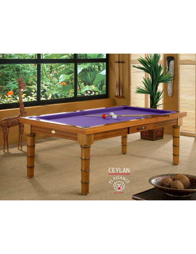 Jouer au billard, avec cette table 2 en 1 de couleur violette