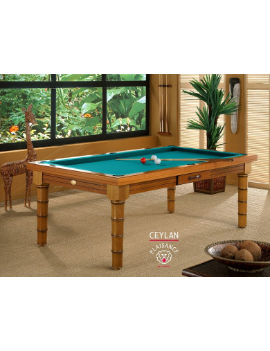 Jeu de billard, tapis vert bleu pour cette table a manger convertible