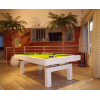 Jeux de billard Arcade : La table convertible