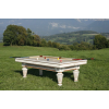 Billard