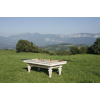 Billard