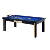 Billard Paris, votre salle de billard Paris dans votre salon !