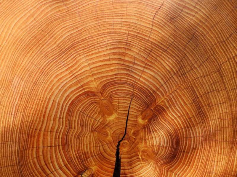 Tables de billard convertibles en bois massif