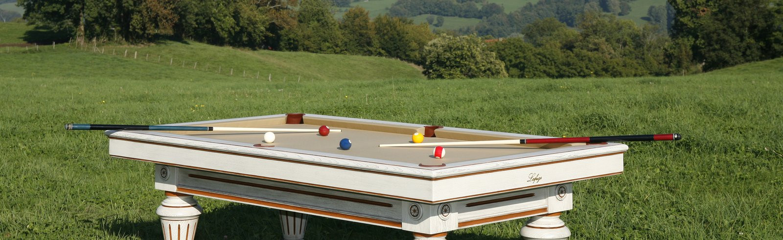 Billard Lafuge Chambord parchemin extérieur